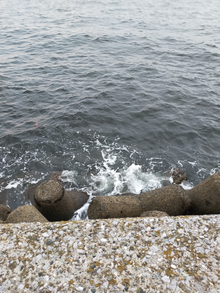 朝マヅメタチウオ