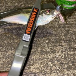 ブルーカレント JHspecial62/TZ NANOでアジング