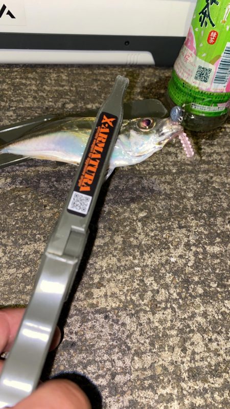 ブルーカレント JHspecial62/TZ NANOでアジング