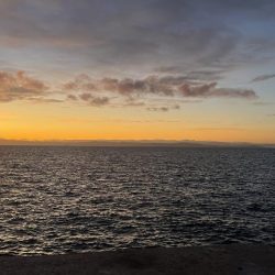 小さなタチウオ