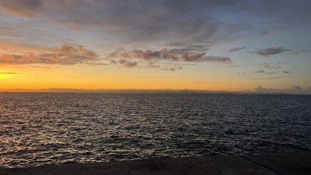 小さなタチウオ