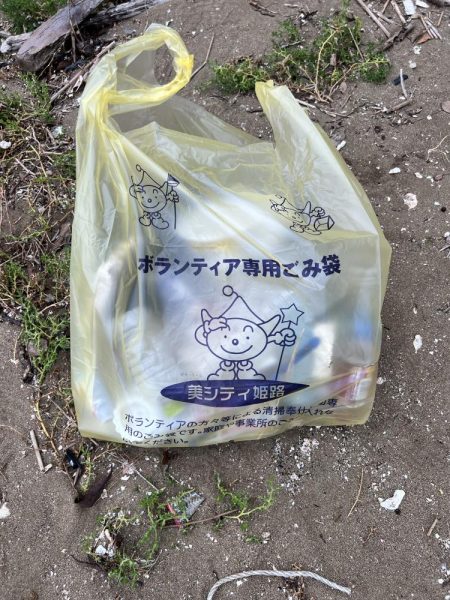 地元のイカを釣りたくて