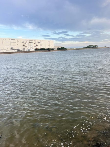 白浜灘緑地