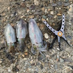 エギングとヤエン