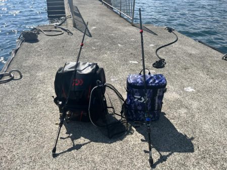 ショアジギング？