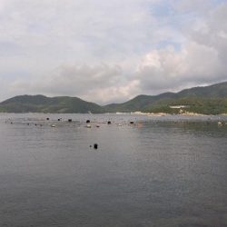 室津のキス釣り