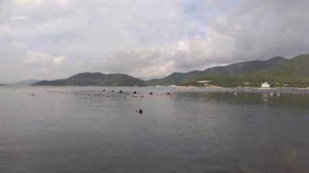 室津のキス釣り