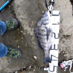 9月ようやく釣れた、マジ嬉しい