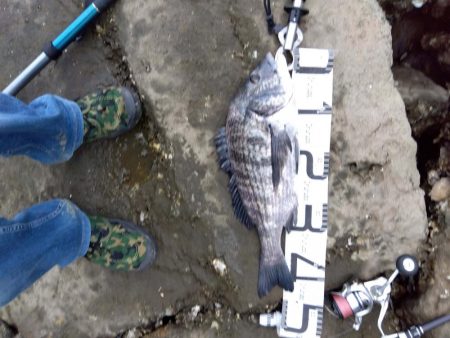 9月ようやく釣れた、マジ嬉しい