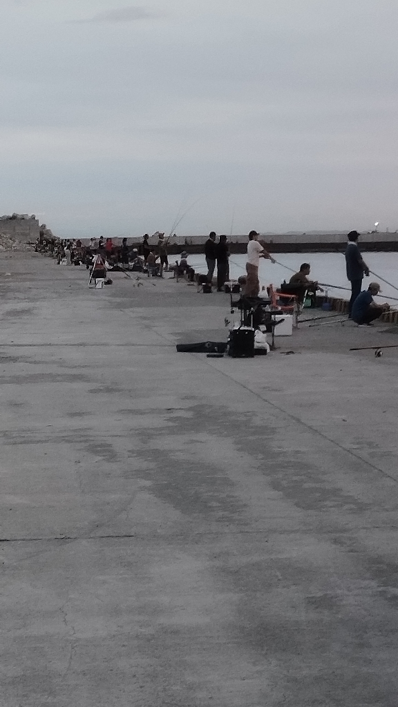 ついこの前までは幻の魚だったのに