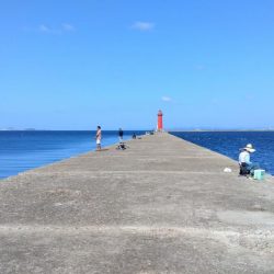 暴風の播磨新島釣行