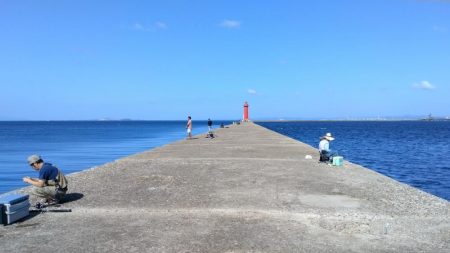 暴風の播磨新島釣行
