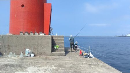 播磨新島のキス釣査