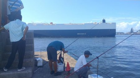 播磨新島のキス釣査