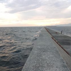 昼下がりの時合いは15:30から