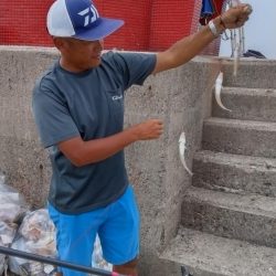 時合い遅く厳しい釣行でした