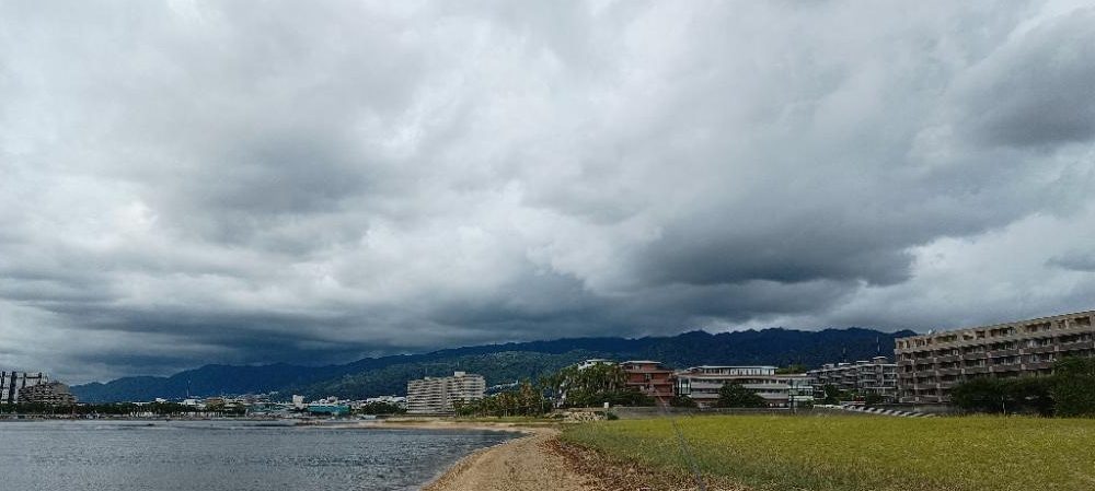 キビレがいっぱい