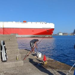 キ活性活性が悪い播磨新島