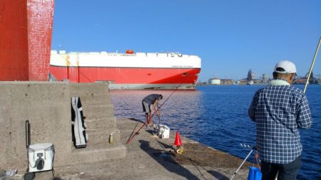 キ活性活性が悪い播磨新島