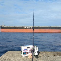 更に厳しくなった播磨新島のキス