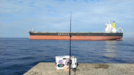 更に厳しくなった播磨新島のキス