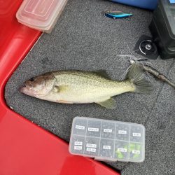 北山田ロクマル