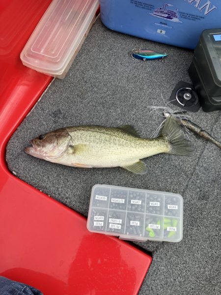 北山田ロクマル