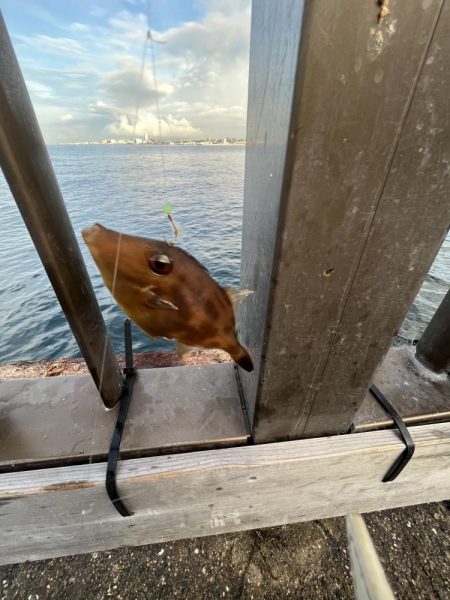 アレ達成ならず