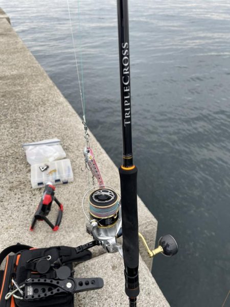 小さいけど久々の青物