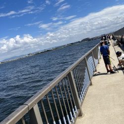 ファミリーフィッシング