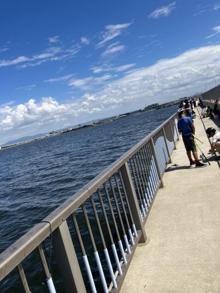 ファミリーフィッシング