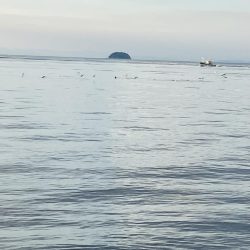 今日はゲット^_^