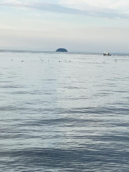 今日はゲット^_^