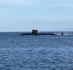 神谷荘さんで秋イサギ