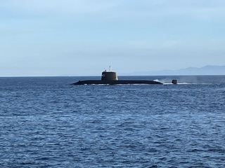 神谷荘さんで秋イサギ