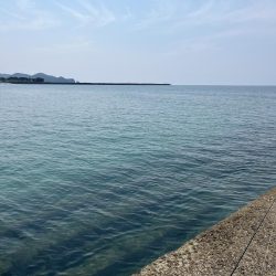 マゴチイベント