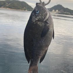 紀州釣り