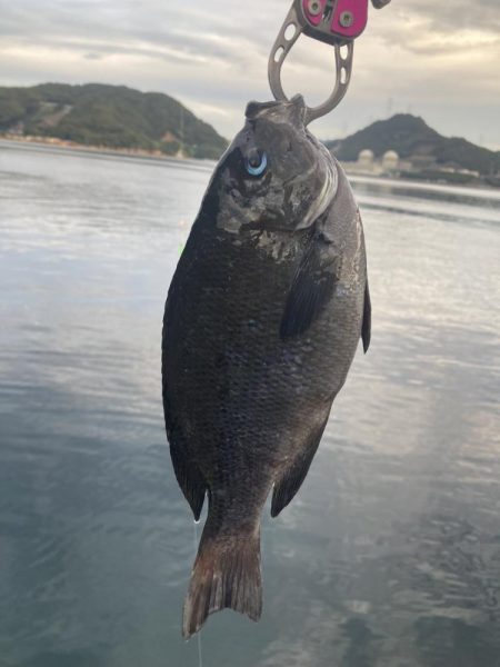 紀州釣り