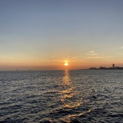 良型チヌに大型バラシ3連発！