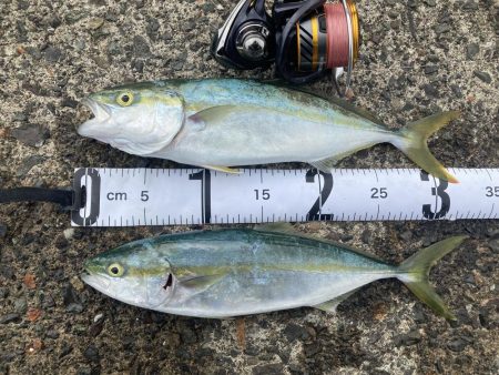 トリプルツバスのはずが