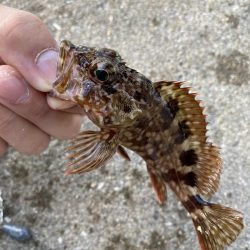 有力な情報ゲッツ