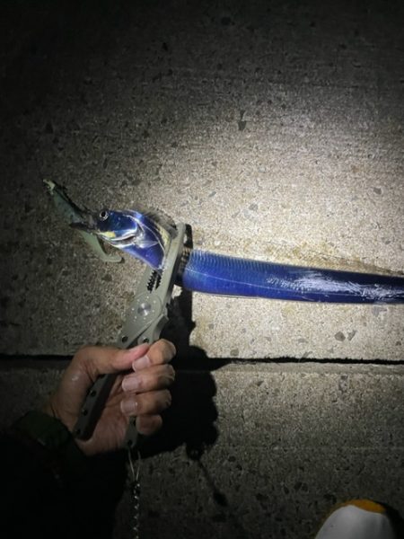 サイズアップしてます