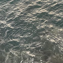 2023 佐渡ヶ島エギング 15回目【9月22日】