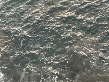 2023 佐渡ヶ島エギング 15回目【9月22日】