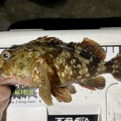 カサゴ釣りイベント2