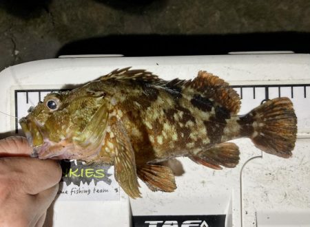 カサゴ釣りイベント2