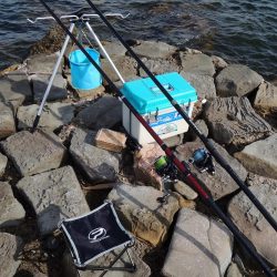 チャリコに降参　キスは何処に？