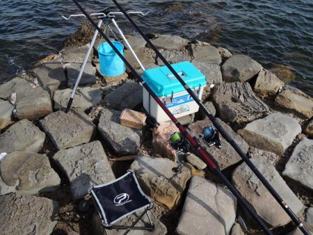 チャリコに降参　キスは何処に？