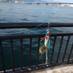 ツバスしか釣れません！