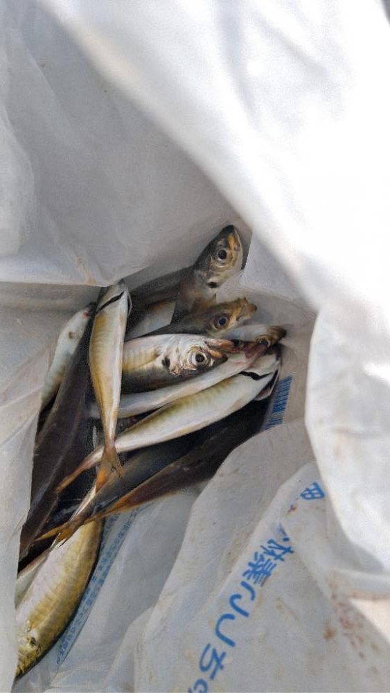 嫌気がさします。